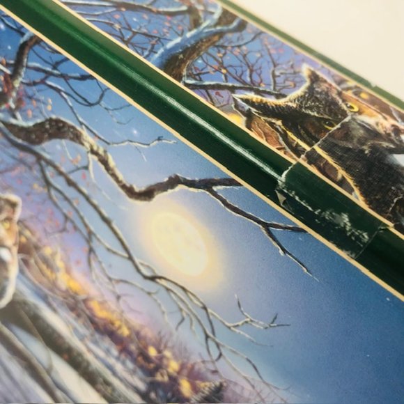 Cobble Hill  Jigsaw Puzzle 1,000 Pieces Edge of Town Owl Winter Poster - Picture 5 of 9